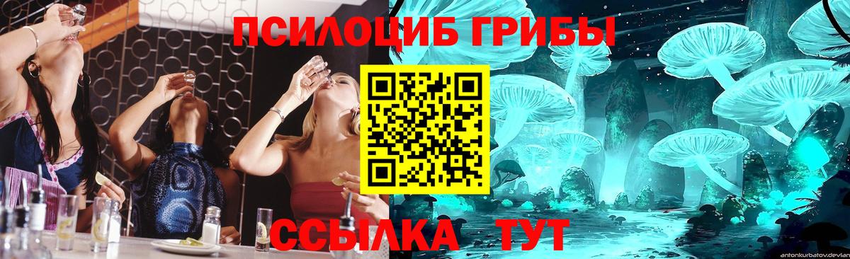 Галлюциногенные грибы Psilocybine cubensis  Вход с VPN  Галлюциногенные грибы прущие грибы  Тельмана 